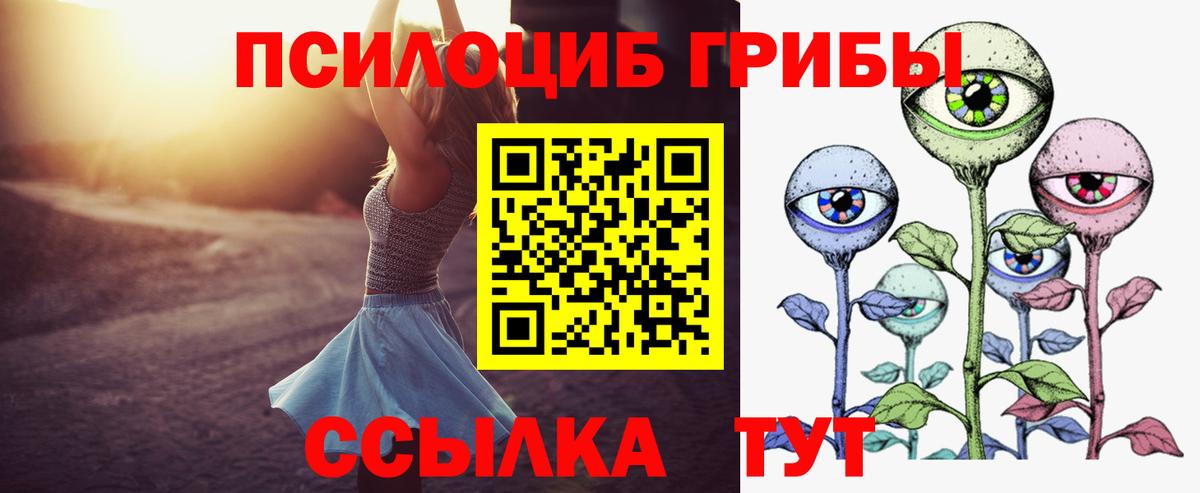 Аксай  Галлюциногенные грибы Cubensis  Вход с VPN 